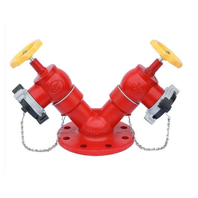 Trụ chữa cháy Tomoken 2 cửa D65